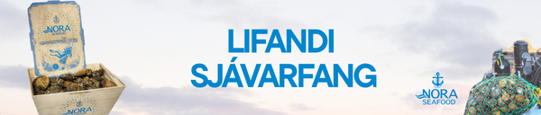 LIFANDISJAVARFANG