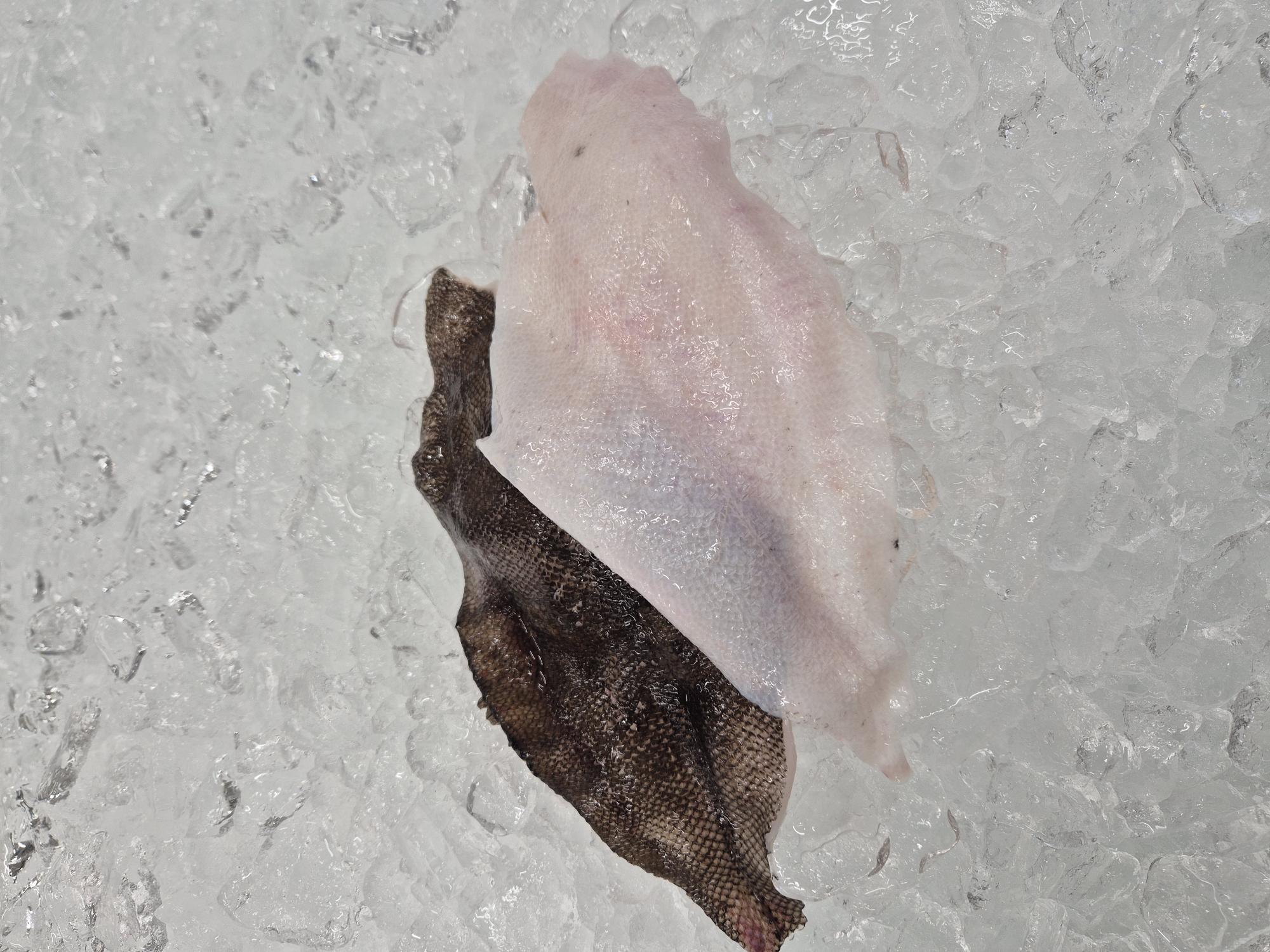 Sandkolaflök - með roði